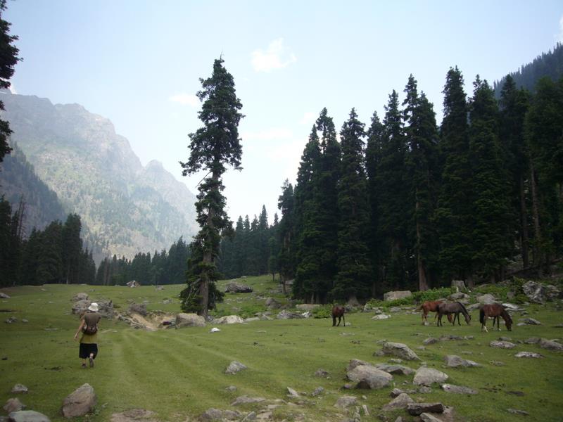 Travel - India - Kashmir - Aru - Lidderwat Expedition